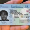 Buy Canadian Drivers License online