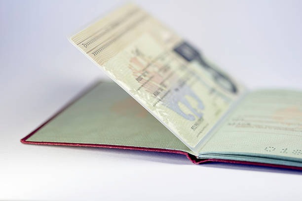 German ID Card: Everything You Need to Know in 2026